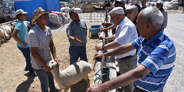 Selçuklu kurban pazarında bayram bereketi