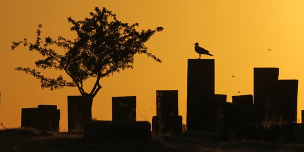 Selçuklu Meydan Mezarlığı tarihe ışık tutuyor