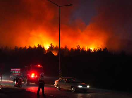 Selçuk’ta çıkan yangın oraya da sıçradı