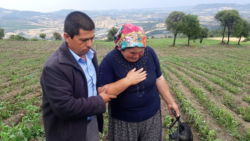 Selendi’de etkili olan dolu yağışı tarım arazilerini vurdu 