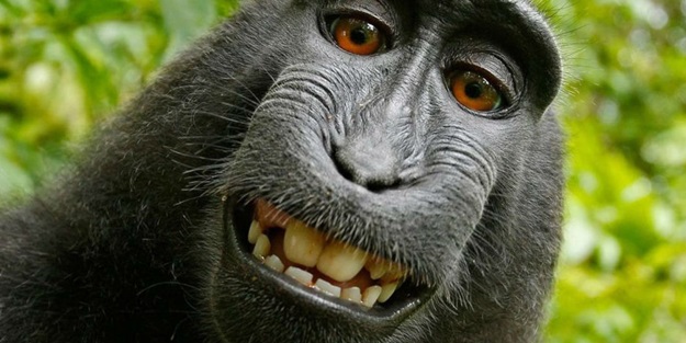 Selfie yıldızı mahkemelik oldu