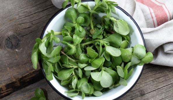 Semizotunun faydaları nelerdir?