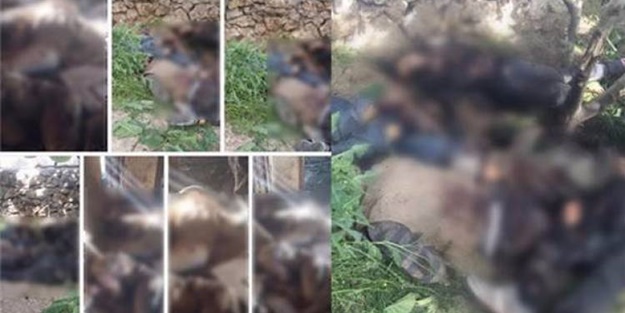 Şemsiye ile kaçmaya çalışan teröristler öldürüldü