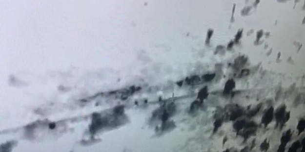 Şemsiyeli teröristler İHA'lardan kaçamadı