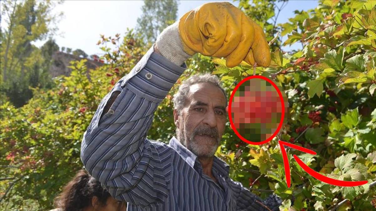 Sen ne yaptın böyle Mustafa dayı! Duyan şok oldu! Şuna bakın hele