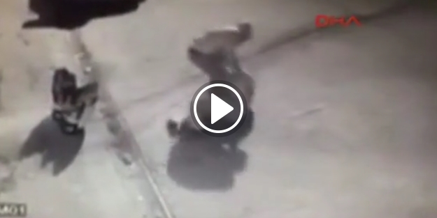'Sende köpek oldun' dedi tasmayı doladı..