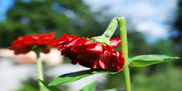 “Bunu senden beklemezdim”
