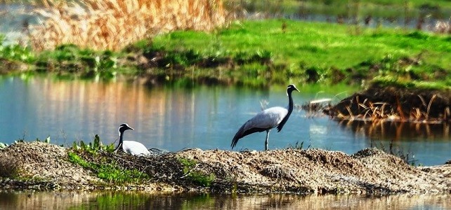Seneler sonra ortaya çıktılar