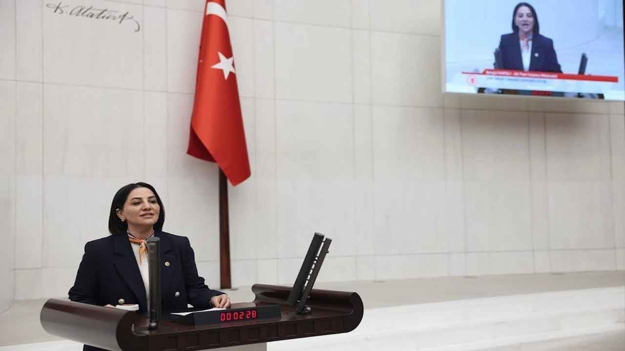 Şengül Karslı’dan TBMM’de tarihi çıkış