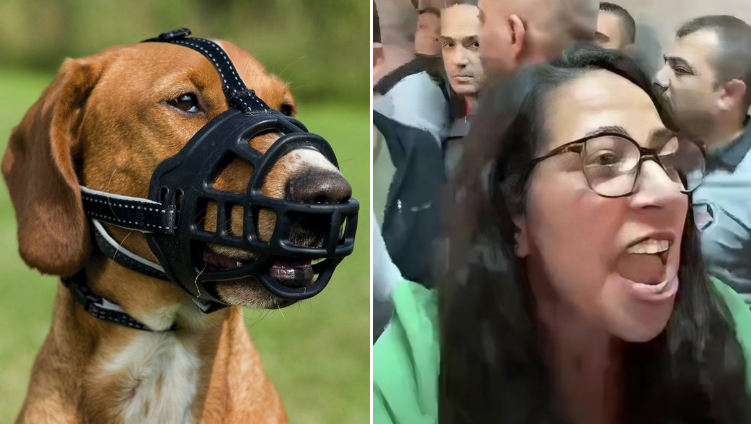 "Senin çocuğunu AKP öldürdü" diyen Sera Kadıgil’e tepki