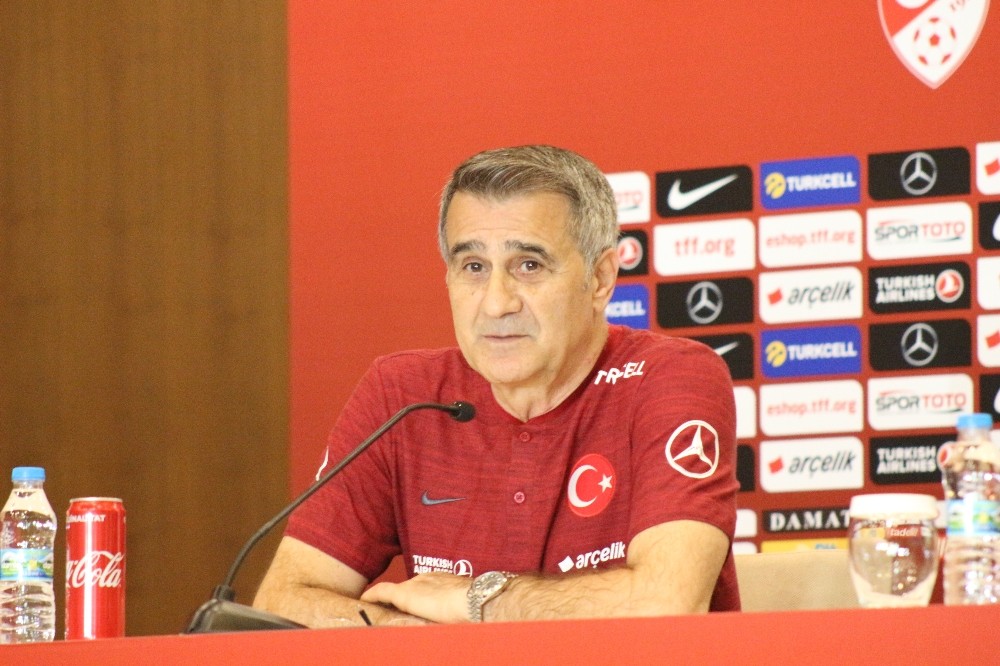 Şenol Güneş: 