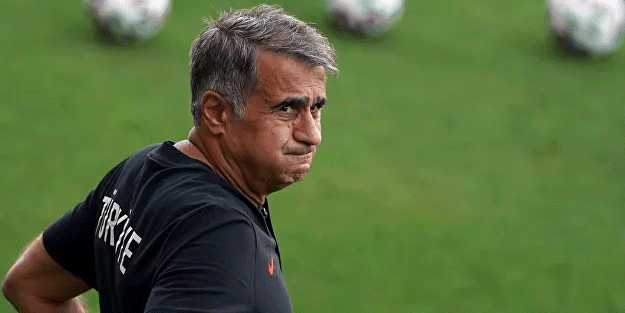 Şenol Güneş: Ben de içime sindiremiyorum