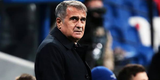 Şenol Güneş'ten dikkat çeken Hollanda açıklaması