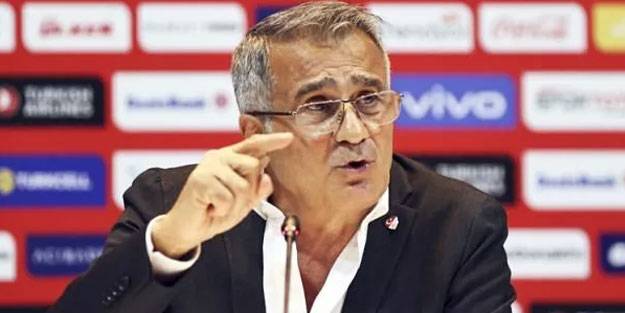 Şenol Güneş'ten Hollanda açıklaması