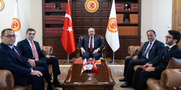 Şentop, Gürcistan Dışişleri Bakanı'nı kabul etti