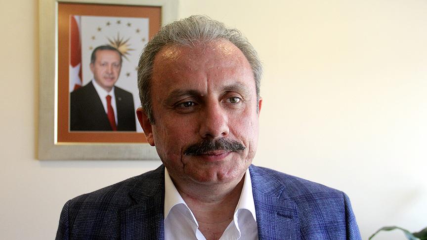 Şentop: Partiler 7 madde üzerinde anlaştı