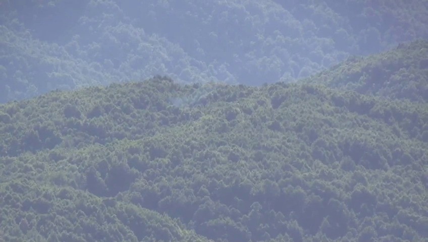 Şenyayla bölgesinde terör operasyonu 