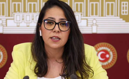 Sera Kadıgil hakkında "Cumhurbaşkanına hakaret" ve "tehdit" soruşturması