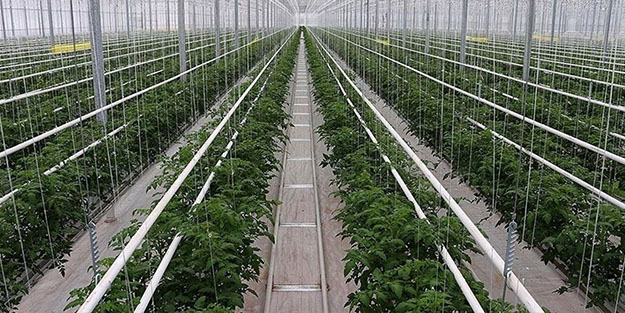 Sera temizliği hastanelik etti!