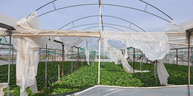 Seraları fırtınadan zarar gören çiftçiler destek bekliyor