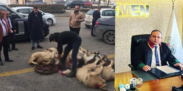 Serbest bırakılınca sekiz kurban kesen avukat tekrar tutuklandı