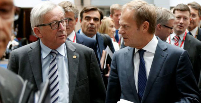 'Serbest dolaşım yoksa, ortak pazar da yok'