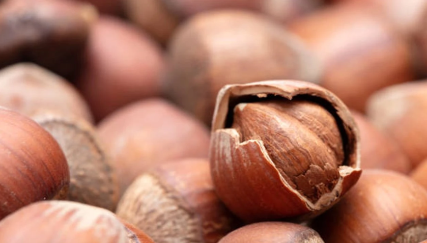 Serbest piyasada fındık kaç lira? İşte il il fiyatlar