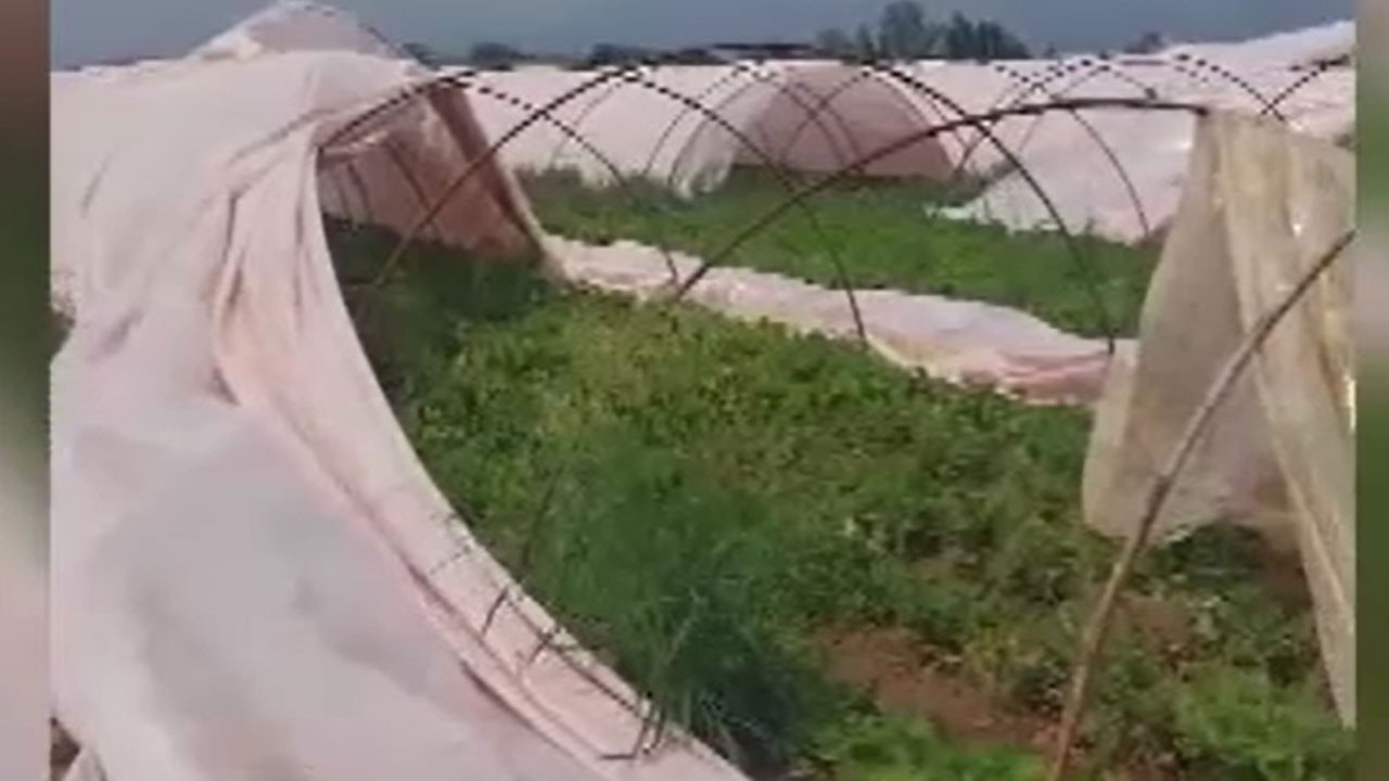 Serik'i hortum vurdu! Seralar yerle bir oldu