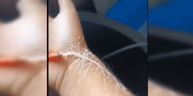 Sosyal medyadan sizin için seçtiklerimiz!