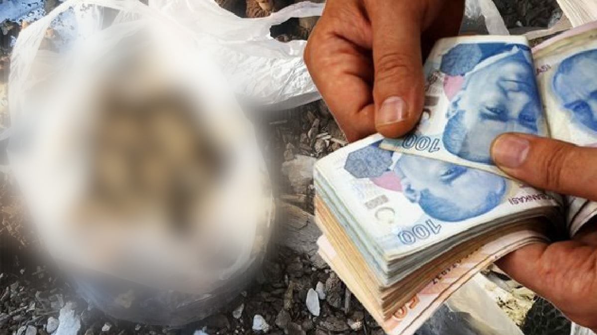 Sermayesiz üretiyor, eşek yüküyle para kazanıyor! Kilosu 300, kurutulmuşu tam 2 bin 500 TL! Duyanlar başka şehirlerden almaya geliyor