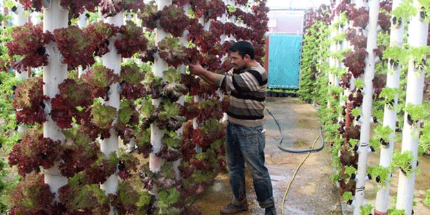 Servetine servet katıyor! Tam 9 dönem...