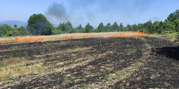 Ses bombasından çıkan alevler tarım arazisini küle çevirdi