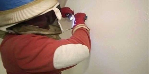 Ses gelen duvarı açtılar, bakın ne çıktı!