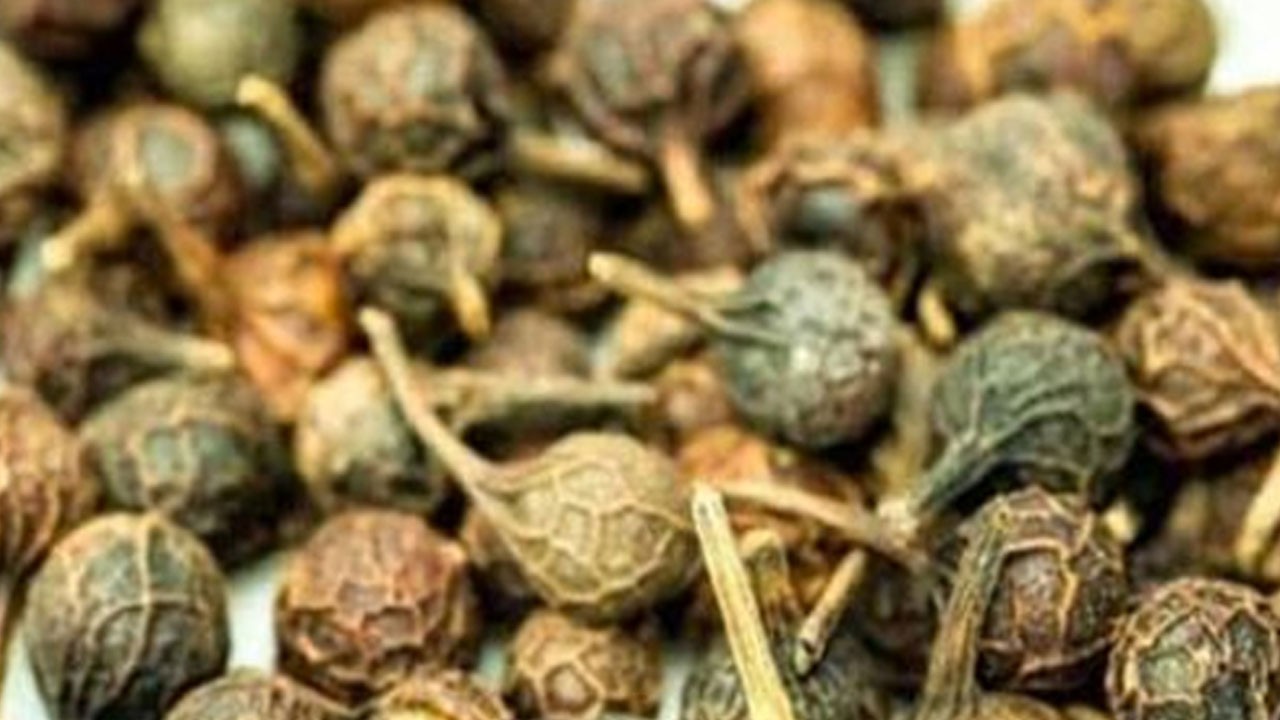 Ses kısıklığına ve ağız kokusuna çare kebabe otu: Çare oldu, yapanın hayatı değişti!