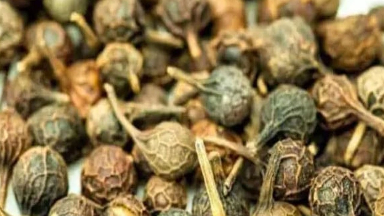 Ses kısıklığına ve ağız kokusuna çare kebabe otu: En çok sipariş edilen müthiş bitki!