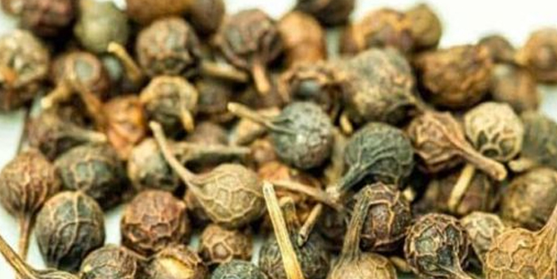 Ses kısıklığına ve ağız kokusuna çare kebabe otu! Temel, eşsiz özellikleri: Direnç kazanırsa kalkan gibi korur