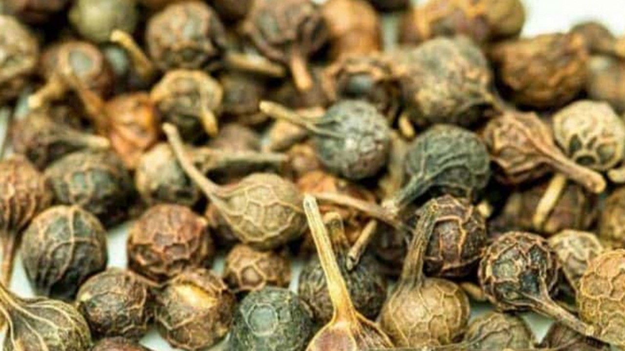 Ses kısıklığına ve ağız kokusuna çare kebabe otu dur diyecek!