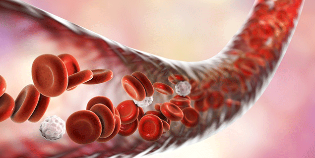 'Sessiz katil'den kurtulmanın formülü