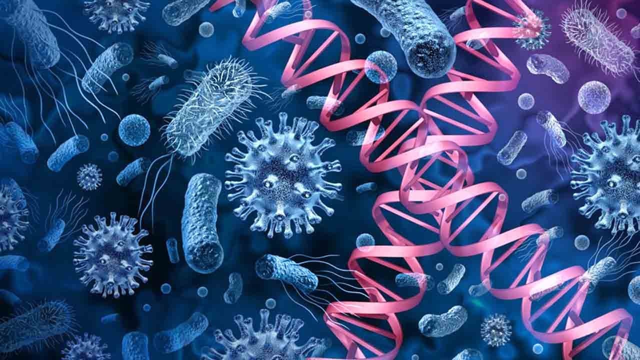 Sessiz tehdit büyüyor: Ölümcül mantar küresel alarma yol açtı