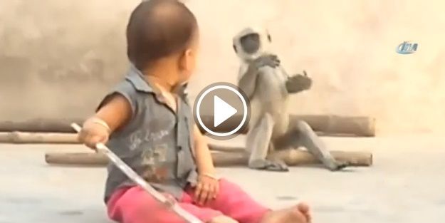 Sevimli maymun sadece oynamak istedi ama...