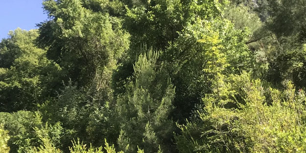 Seyahat acentesi sorumlusu: Turistlerden Türkiye'ye karşı yoğun ilgi var!