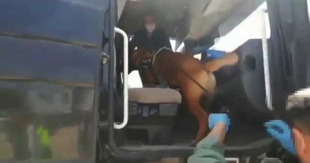 Seyahat izin belgeli tırdan uyuşturucu çıktı 