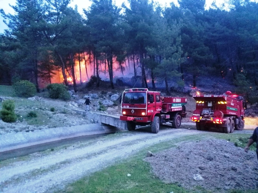 Seydikemer’de orman yangını 