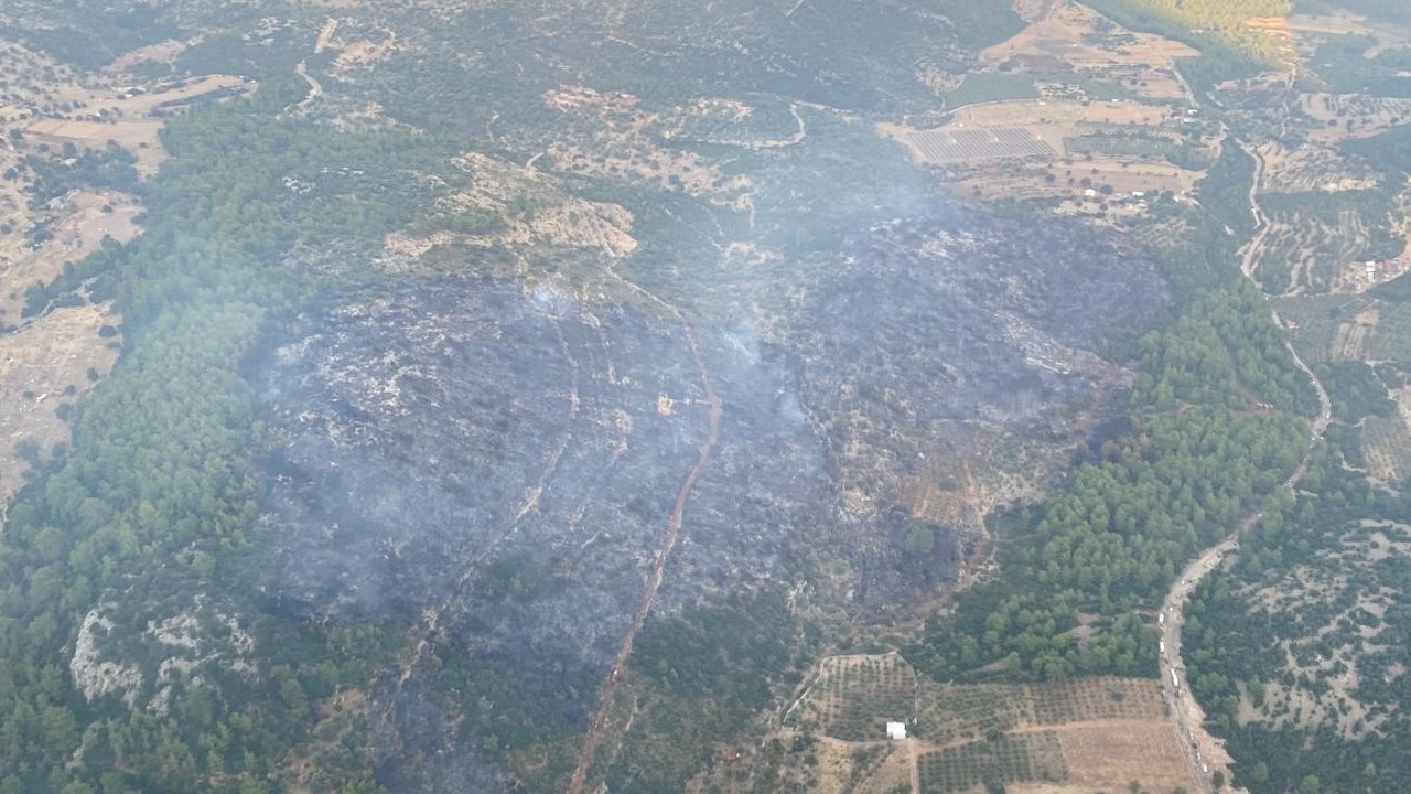 Seydikemer’deki orman yangını kontrol altına alındı