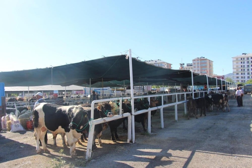 Seydişehir Belediyesi Kurban Bayramına hazır 