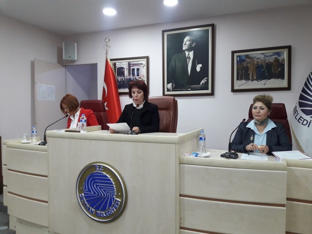 Seyhan’da 5 komisyon raporu kabul edildi 