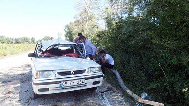 Seyir halindeki aracın üzerine ağaç devrildi: 1 ölü, 2 yaralı