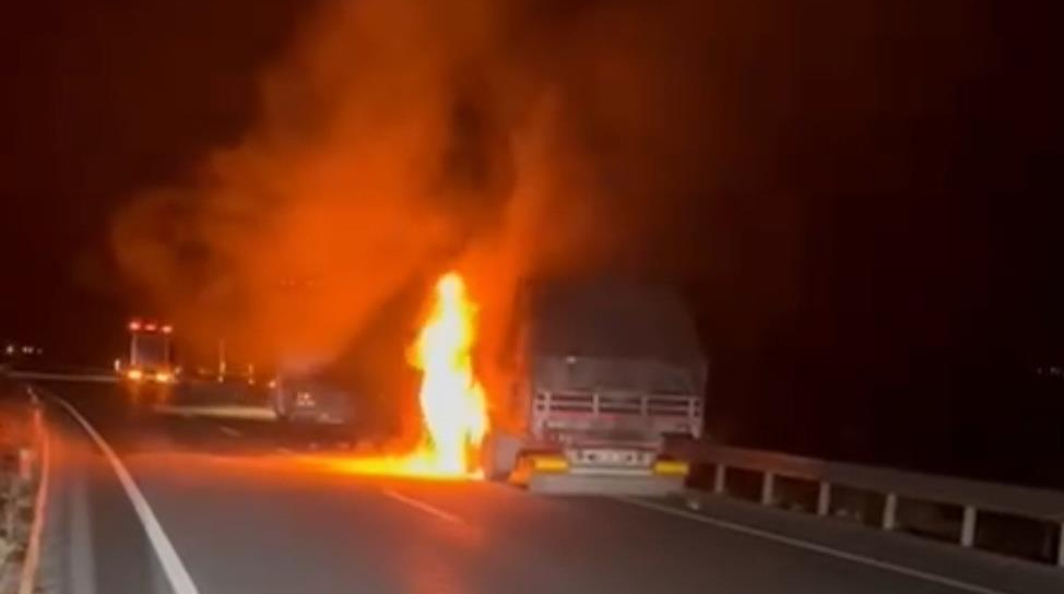 Seyir halindeki tır alev alev yandı