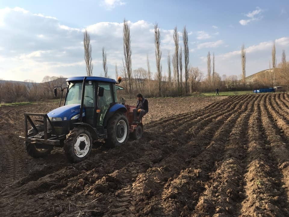 Seyitgazili çiftçiler patates ekimine başladılar 