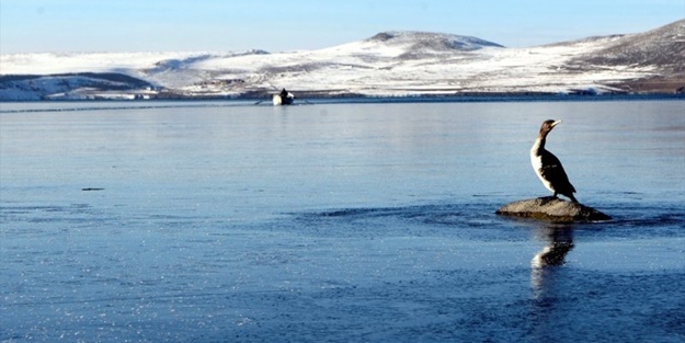 Seyrine doyulmaz bir güzellik: Çıldır Gölü